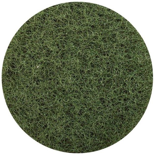 Glomesh Scrubbing Pad 300mm Green