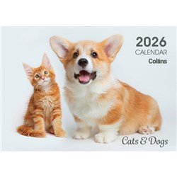 Collins Rosebank A4 Wall Calendar 2026 Cats And Dogs