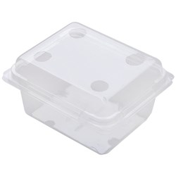 Berry Fruit AB250 Punnet With Holes 250g 130x108x71mm Clear, Carton of 450