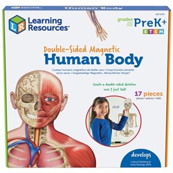 Learning Resources Double Sided Magnetic Human Body
