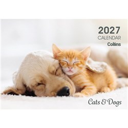 Collins Rosebank Wall Calendar A4 2027 Cats & Dogs