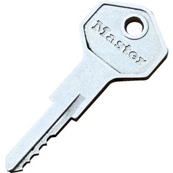 Master Padlock Override Key