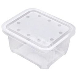 Berry Fruit CP250 Punnet 250g 110x90x65mm Clear, Carton of 720