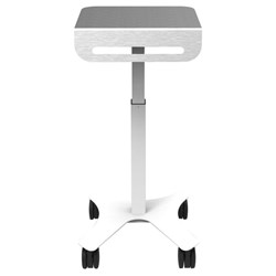 Laptop Write Up Cart