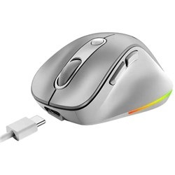 Genius Ergo 9000S Pro Silent Mouse Silver