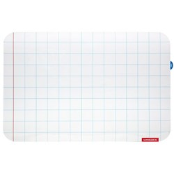 Warwick Magnetic Whiteboard Sheet Maths Grid 300x200mm
