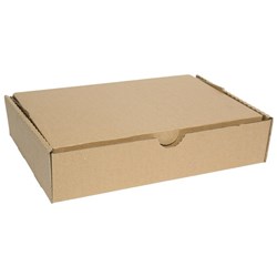 FM Storage Box File Foolscap Brown