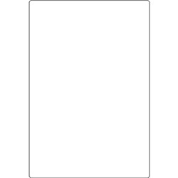 Blank Courier Labels Standard Thermal Perforated 38mm Core 105x148mm, Roll of 250