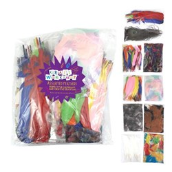 Craft Workshop Craft Feathers Assorted Styles & Colours Classroom Pack