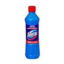 Domestos Disinfectant  Regular 750ml