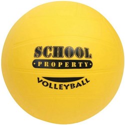 School Property Volleyball