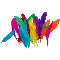 Craft Workshop Craft Feathers Large Assorted Colours 25g