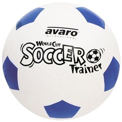 World Cup Soccer Trainer Ball