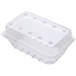 Berry Fruit SP20 Bramble Punnet With Holes 400g 175x112x72mm Clear, Carton of 400