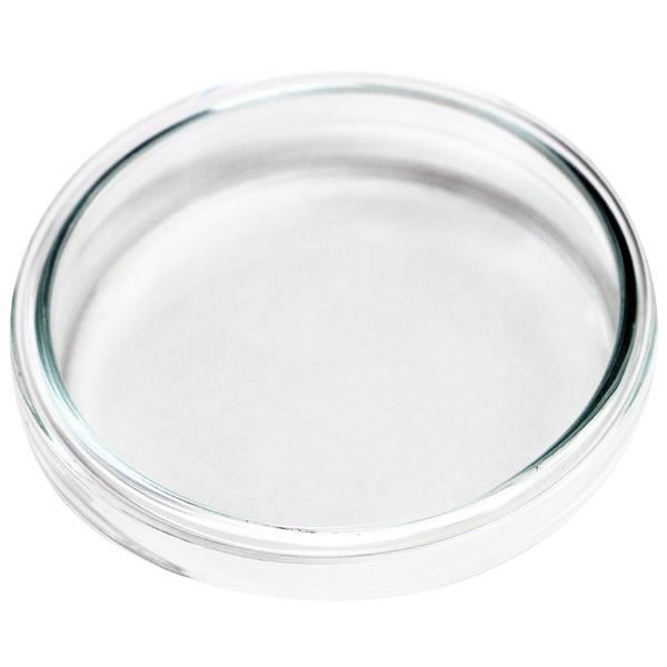 Soda Glass Petri Dish 80 x 15mm OfficeMax NZ