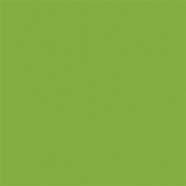 Image Plus A4 80gsm Lime Green Colour Copy Paper, Pack of 100