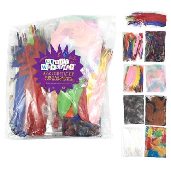 Craft Craft Feathers Assorted Styles & Colours Classroom Pack