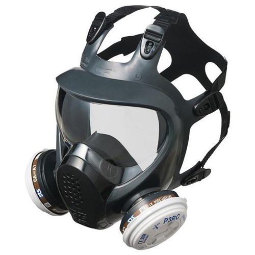 Dalton Full Face Respirator Mask Large