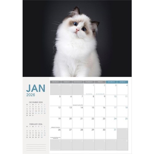 Collins Rosebank A4 Wall Calendar 2026 Cats And Dogs