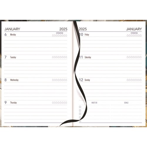Collins A53 Diary Week to View 2027 Painterly Assorted Designs