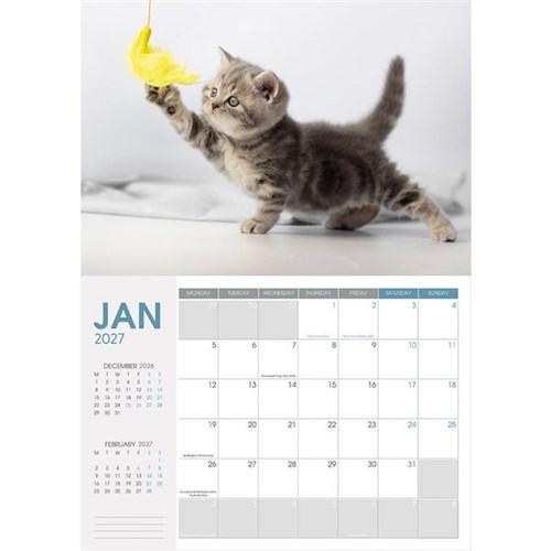 Collins Rosebank Wall Calendar A4 2027 Cats & Dogs