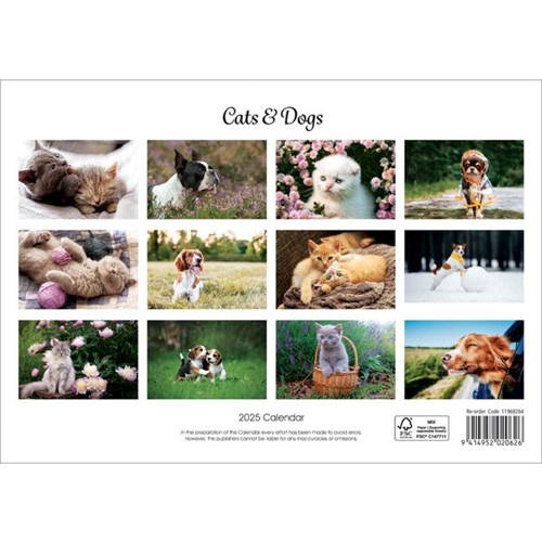 Collins Rosebank Wall Calendar A4 2027 Cats & Dogs