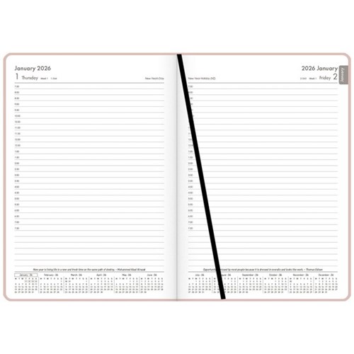 OfficeMax A51 1/2 Hour Appointments Diary A5 1 Day Per Page 2026 Pink