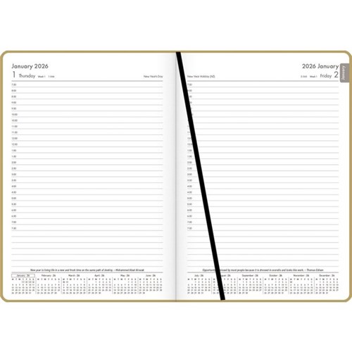 OfficeMax A51 1/2 Hour Appointments Diary A5 1 Day Per Page 2026 Gold