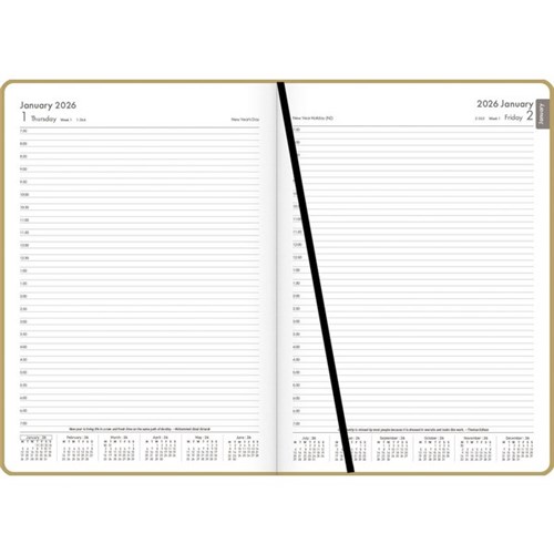 OfficeMax A41 1/2 Hour Appointments Diary A4 1 Day Per Page 2026 Gold
