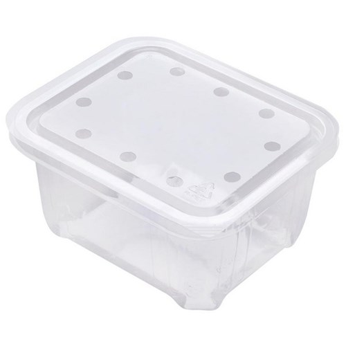 Berry Fruit CP250 Punnet 250g 110x90x65mm Clear, Carton of 720