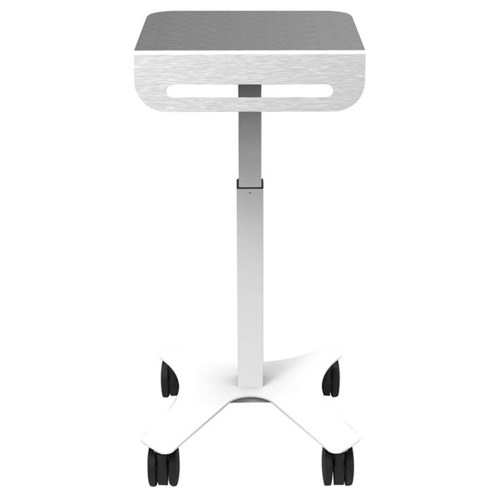 Laptop Write Up Cart