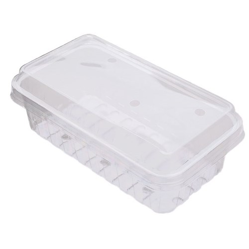 Berry Fruit Punnet Lids for Berry Fruit 900g Punnets Clear, Carton of 240