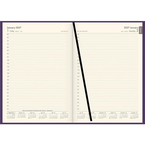 Winc A41 1/2 Hour Appointment Diary Soft Touch A4 1 Day Per Page 2027 Purple