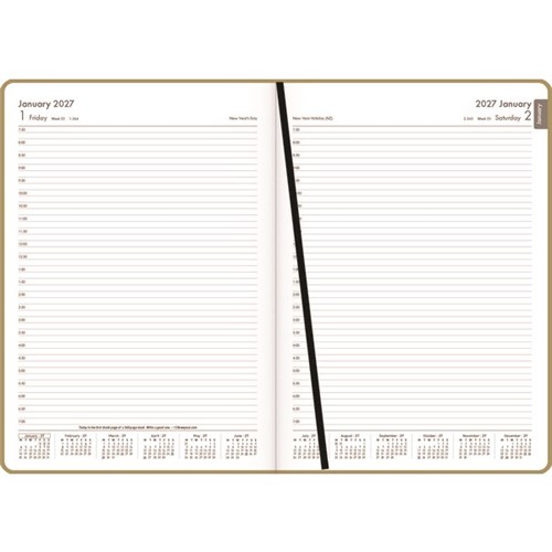 OfficeMax A41 1/2 Hour Appointment Diary A4 1 Day Per Page 2027 Gold