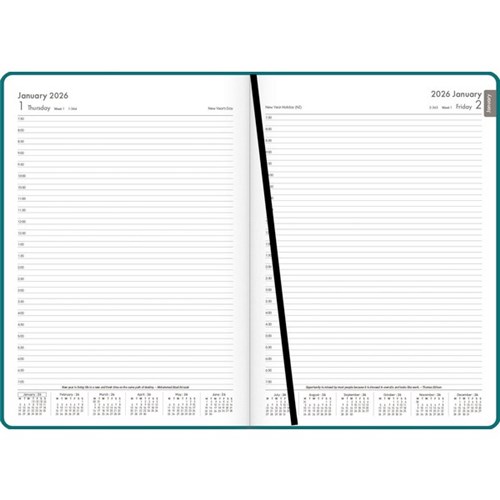 OfficeMax A41 1/2 Hour Appointments Diary A4 1 Day Per Page 2026 Green
