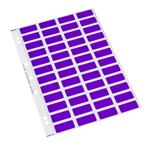 Colourfind Coloured Labels 161909 19mm Purple, Sheet of 48