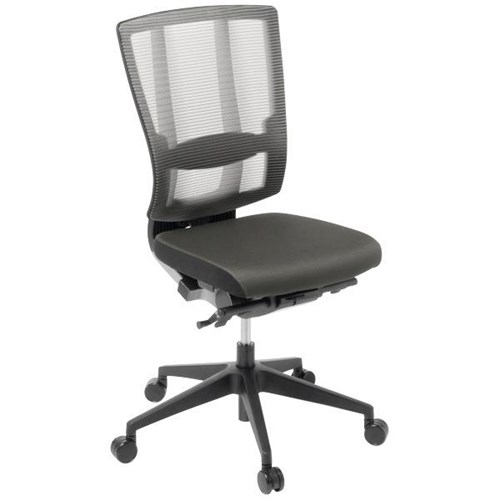 Cloud Ergonomic Chair Opaque Mesh Back/Charcoal Seat