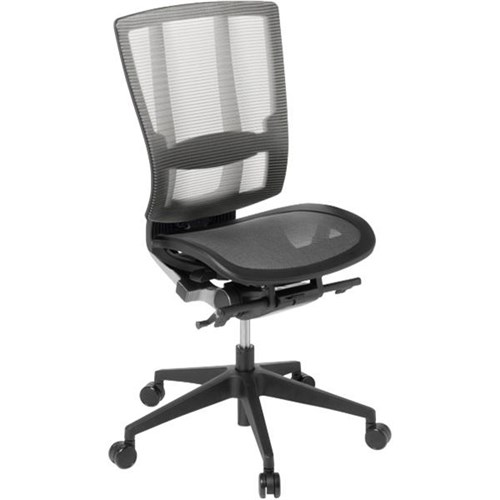 Cloud Ergonomic Chair Mesh Back/Seat Opaque/Charcoal