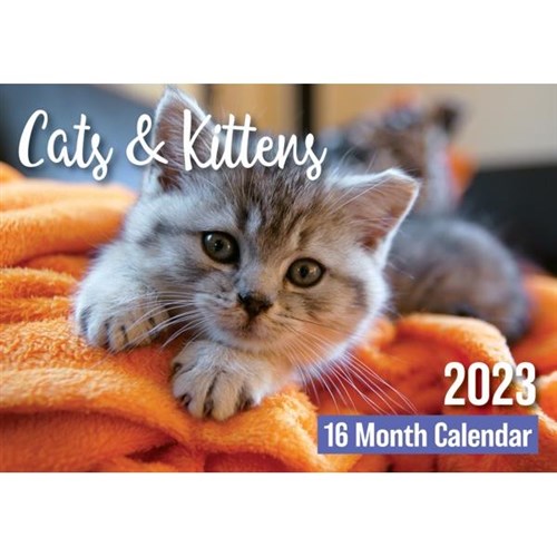 Biscay Wall Calendar A4 Month To View Cats & Kittens 2023 | OfficeMax NZ