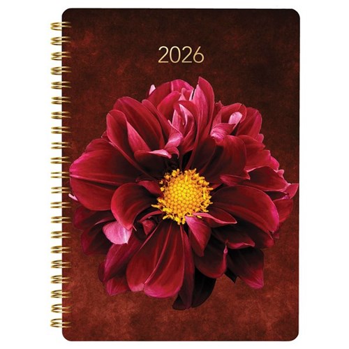 Collins A53 Diary A5 Week To View 2026 Dark Romantic Floral
