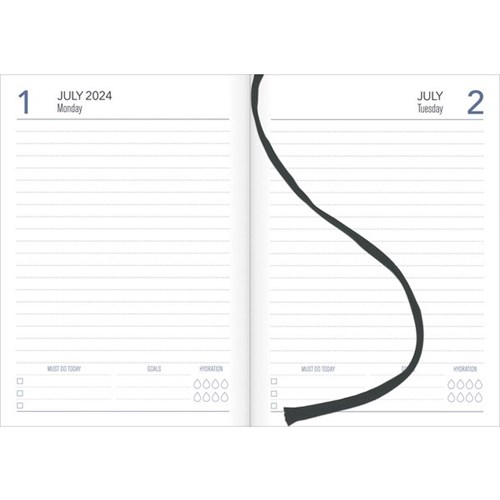 Collins A51 Mid Year Diary A5 1 Day Per Page 1 July 2024 to 30 June 2025 Fashion Year Black/Gold