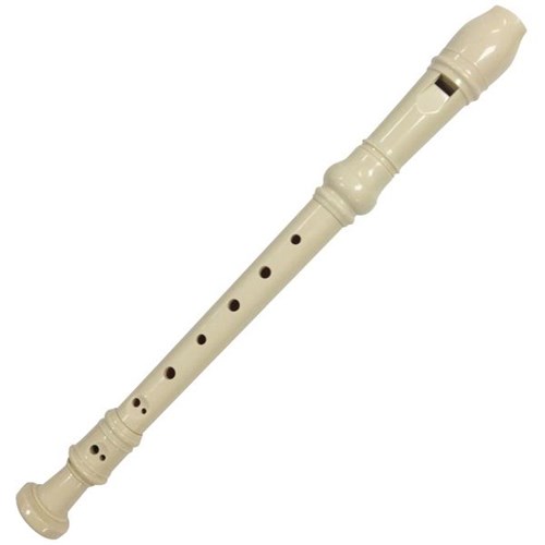 3 Piece Recorder Plastic with Carry Case