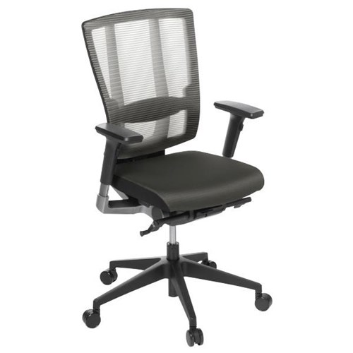 Cloud Ergonomic Executive Chair With Arms Mesh Back/Charcoal Seat