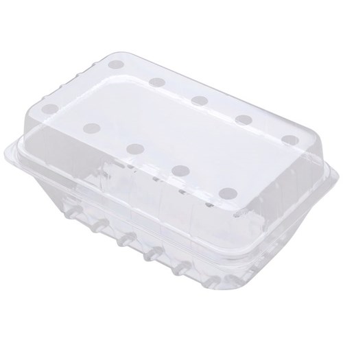 Berry Fruit SP20 Bramble Punnet With Holes 400g 175x112x72mm Clear, Carton of 400