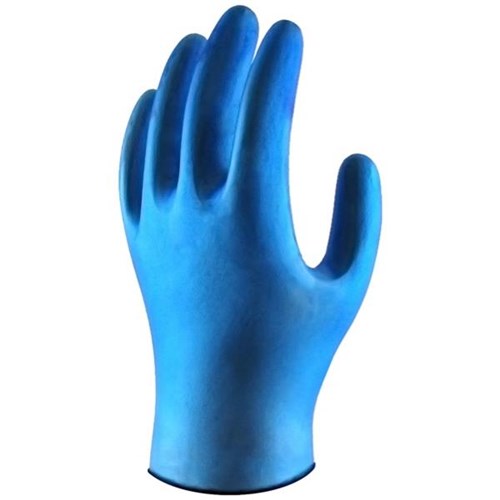 Lynn River Vinyl Disposable Gloves Powder Free Blue, Carton of 10 Packs